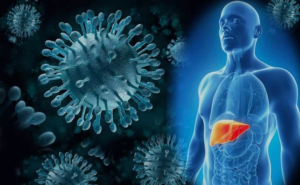 Как влияет ледипасвир (ledipasvir) на организм человека, инфицированного гепатитом С- фото № 3 Как влияет ледипасвир (ledipasvir) на организм человека, инфицированного гепатитом С