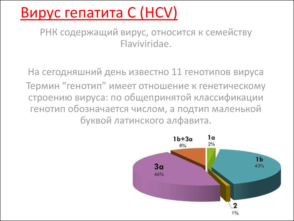 Гепатит С опаснее, чем ВИЧ?- фото № 1 Гепатит С опаснее, чем ВИЧ?