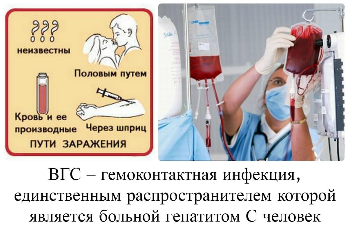 Что нужно знать о совместимости алкоголя с софосбувиром при терапии гепатита С- фото № 4 Что нужно знать о совместимости алкоголя с софосбувиром при терапии гепатита С